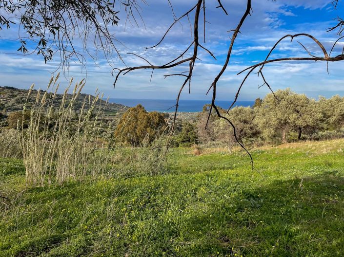 Image No.5-Land for sale