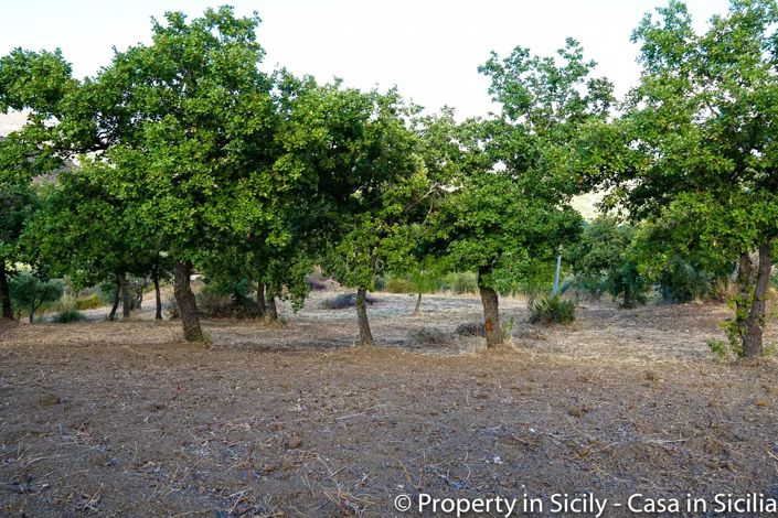 Image No.10-Land for sale