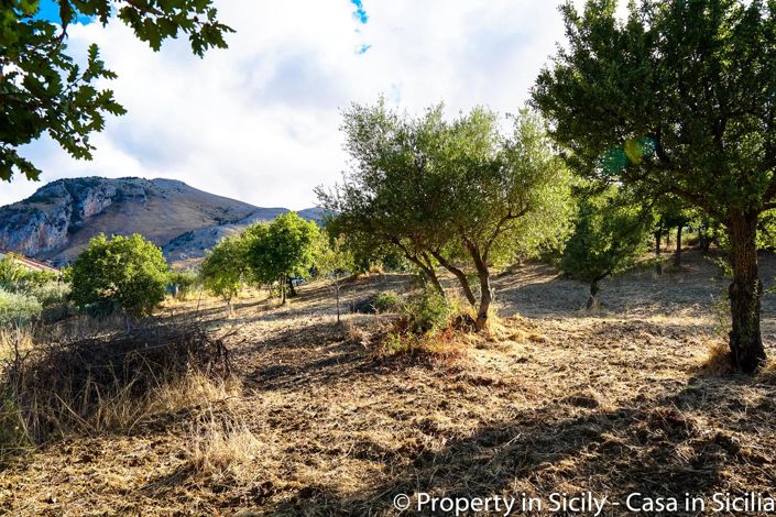 Image No.2-Land for sale