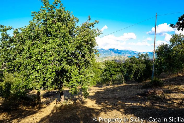 Image No.5-Land for sale