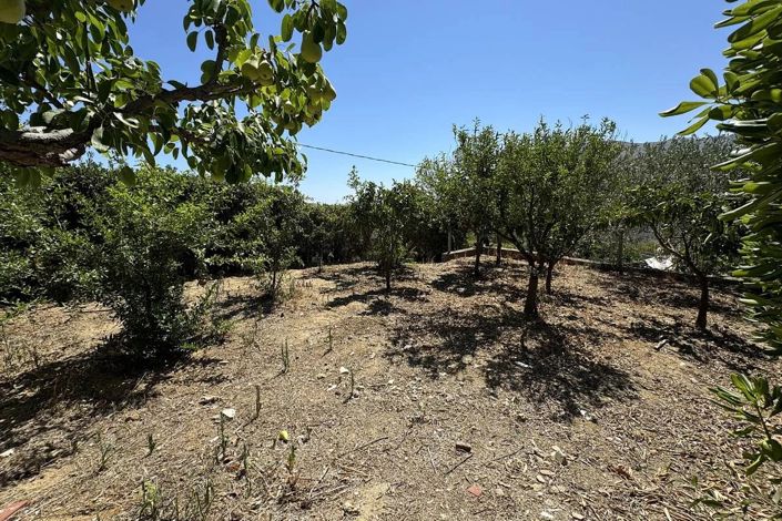 Image No.29-3 Bed Apartment for sale