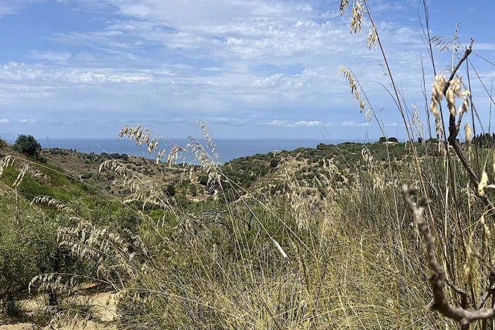 Image No.4-Land for sale