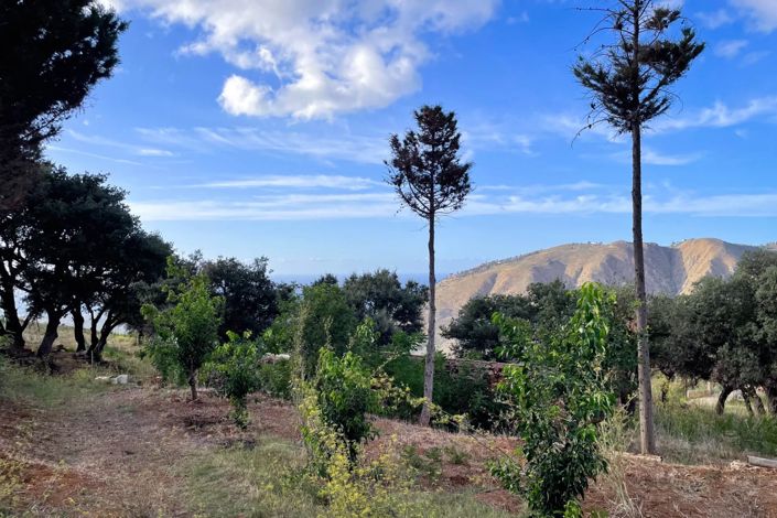 Image No.12-Land for sale