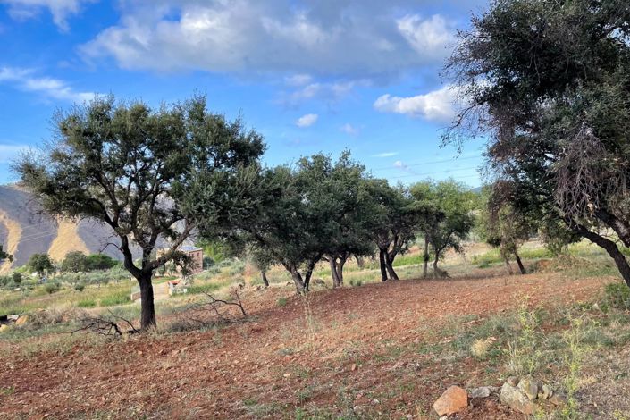 Image No.13-Land for sale