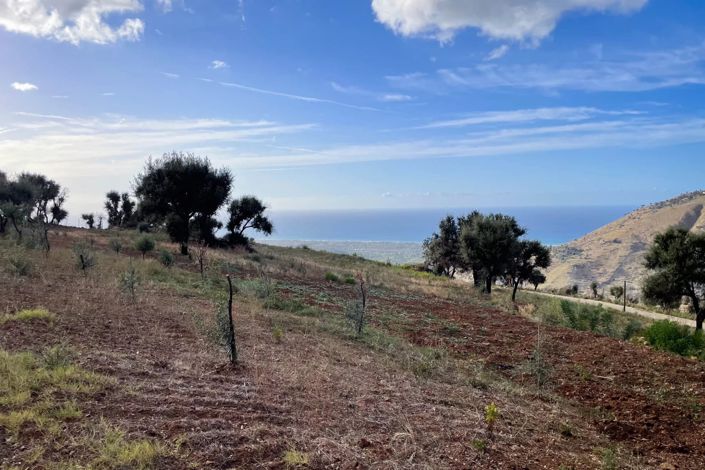 Image No.4-Land for sale