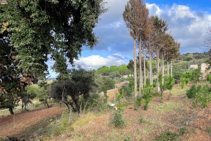 Image No.5-Land for sale