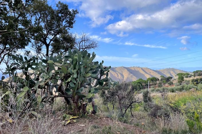 Image No.8-Land for sale