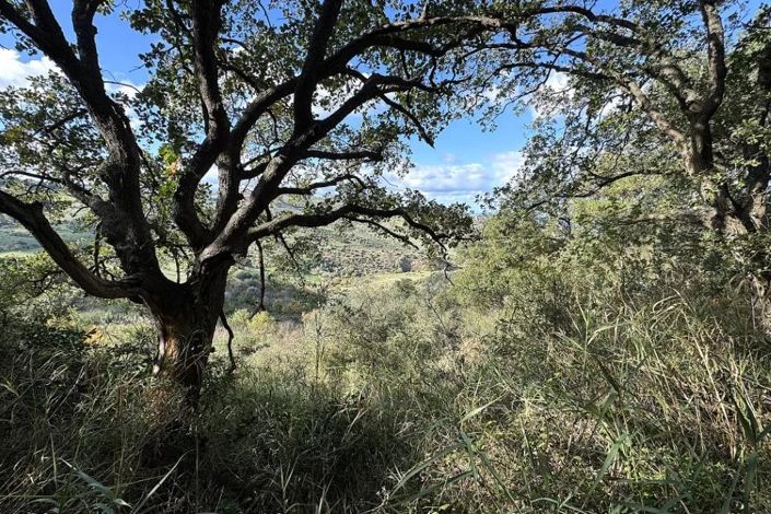 Image No.5-Land for sale