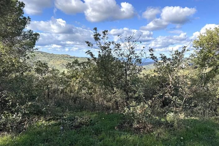 Image No.8-Land for sale