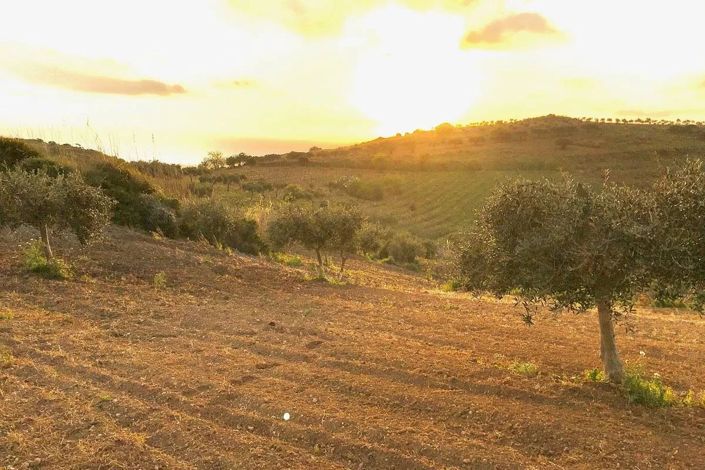 Image No.10-Land for sale