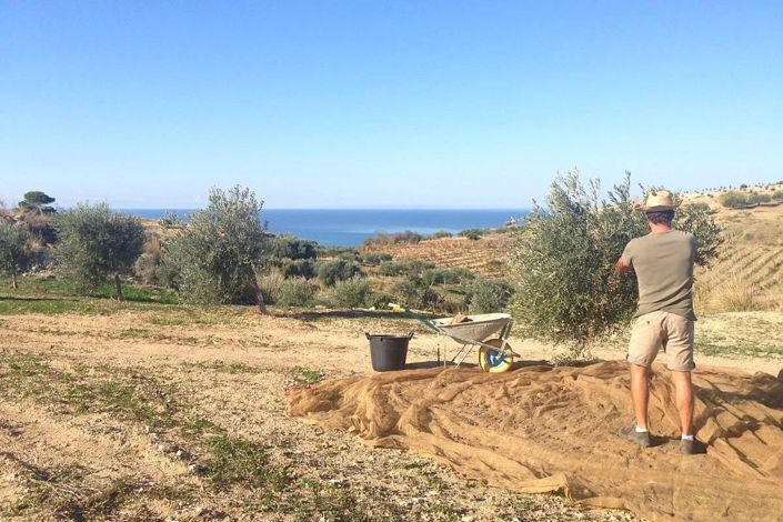 Image No.4-Land for sale