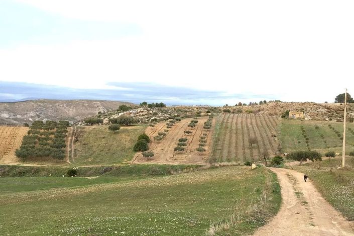 Image No.5-Land for sale