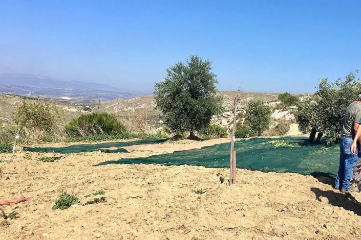 Image No.9-Land for sale