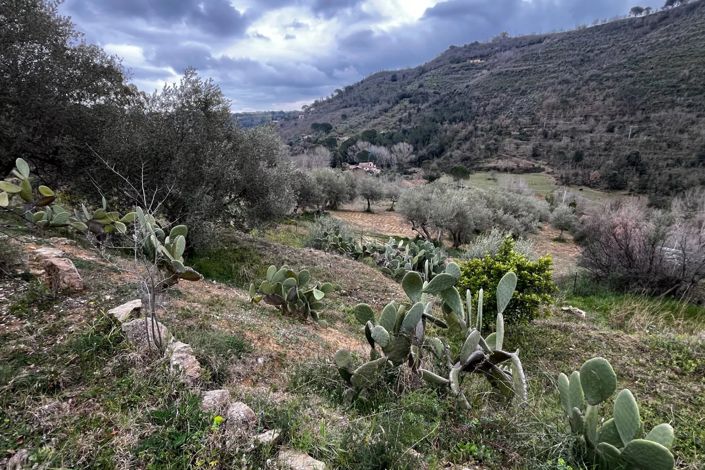 Image No.15-2 Bed House for sale