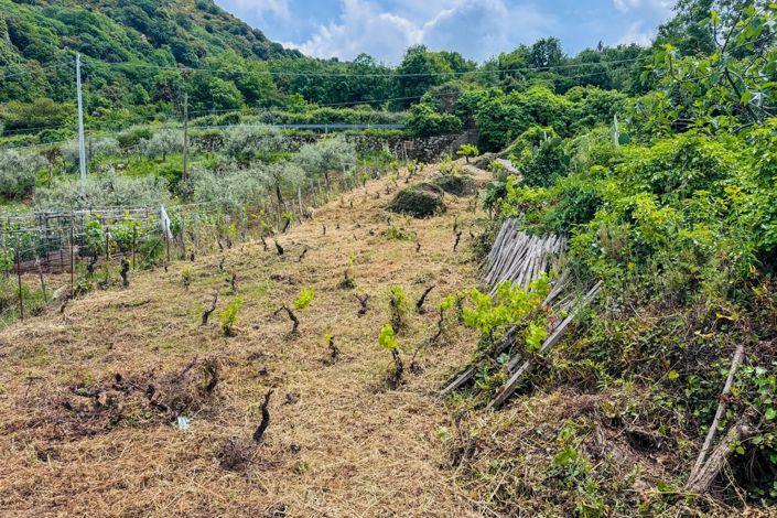 Image No.24-House for sale