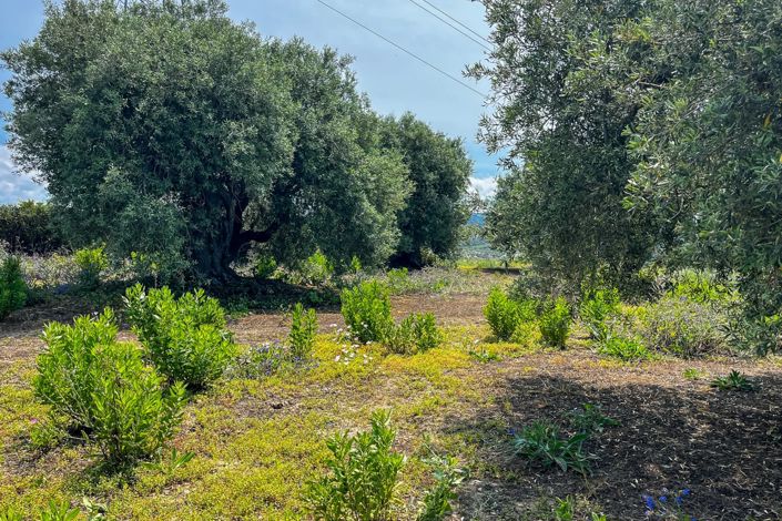 Image No.20-1 Bed House for sale