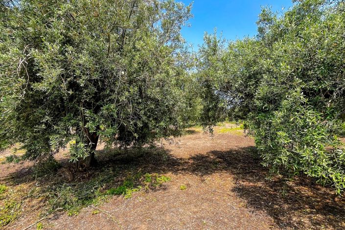 Image No.21-1 Bed House for sale