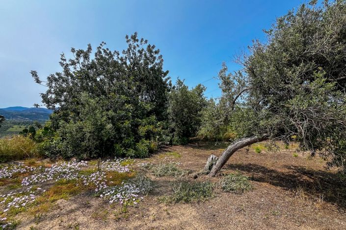 Image No.23-1 Bed House for sale