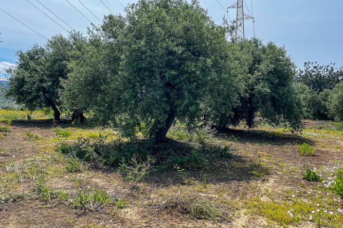 Image No.25-1 Bed House for sale