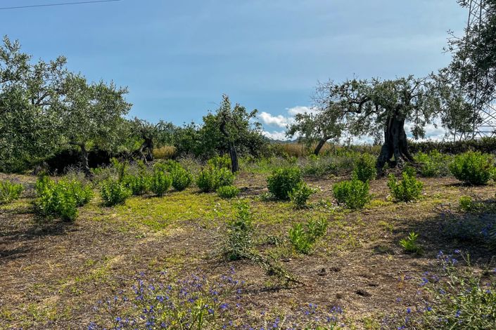 Image No.26-1 Bed House for sale