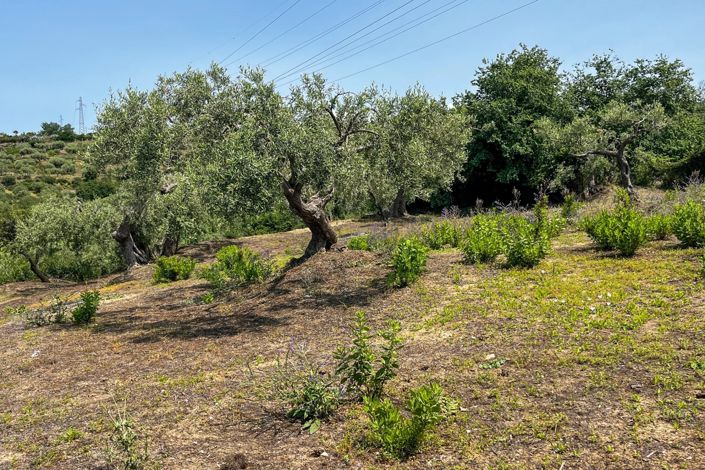 Image No.29-1 Bed House for sale