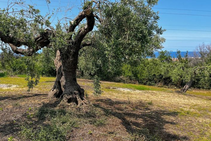 Image No.19-1 Bed House for sale