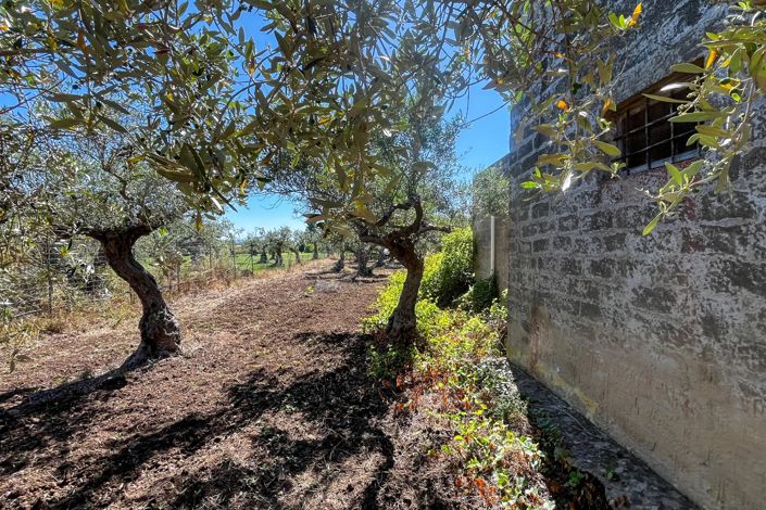 Image No.4-1 Bed Apartment for sale