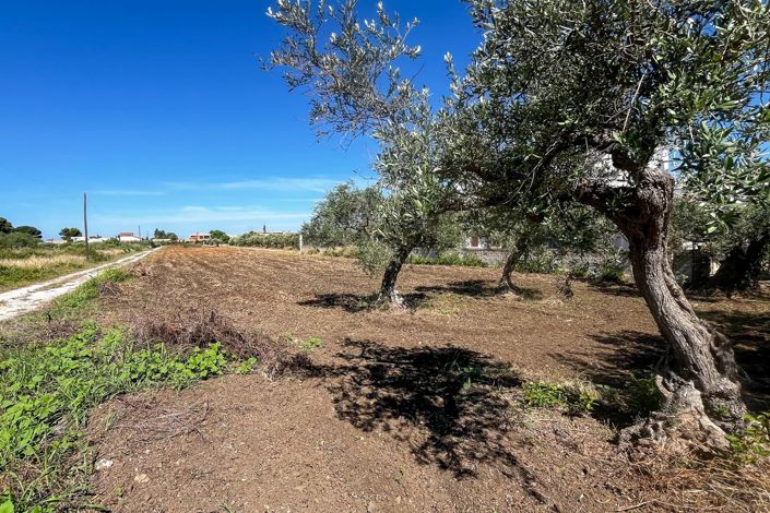 Image No.6-1 Bed Apartment for sale