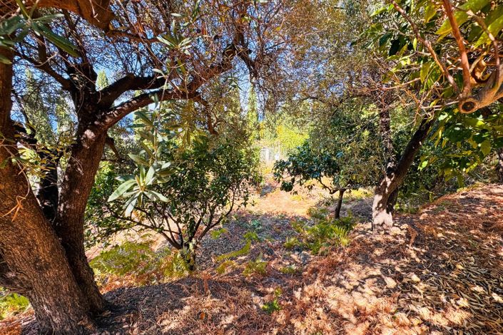 Image No.11-3 Bed Villa for sale