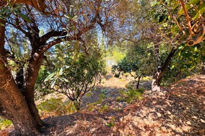 6d18faacba6dd55c6632425a69a8ffcbc2788a037b192