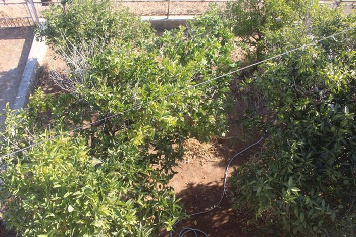 Image No.18-3 Bed Bungalow for sale