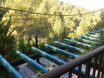 viberimage2022-01-2514-49-02-361