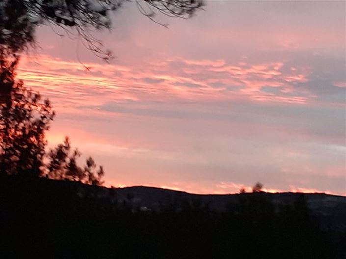 Image No.24-3 Bed Villa for sale