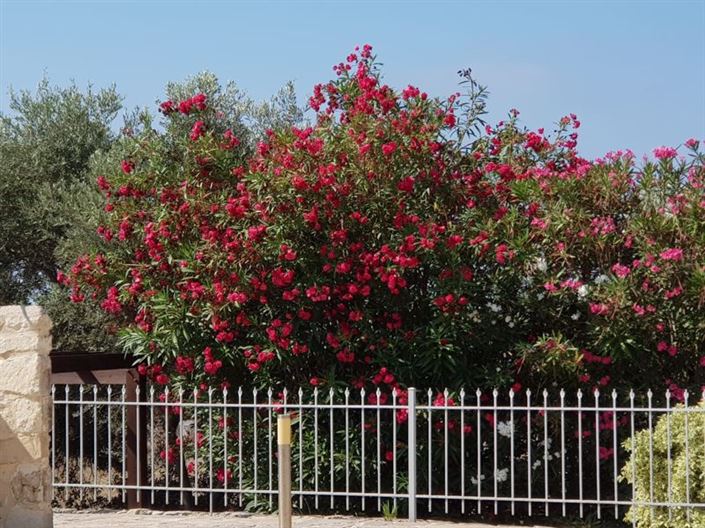 Image No.46-3 Bed Villa for sale