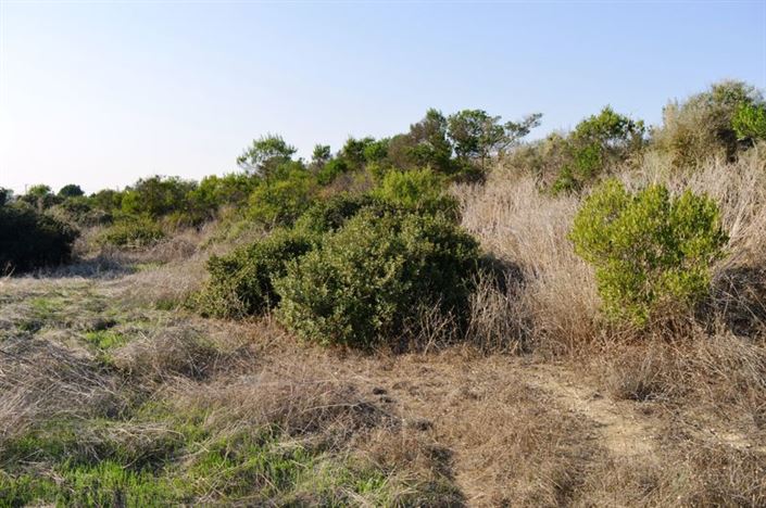 Image No.9-Property for sale