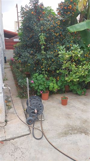 Image No.11-3 Bed Villa for sale