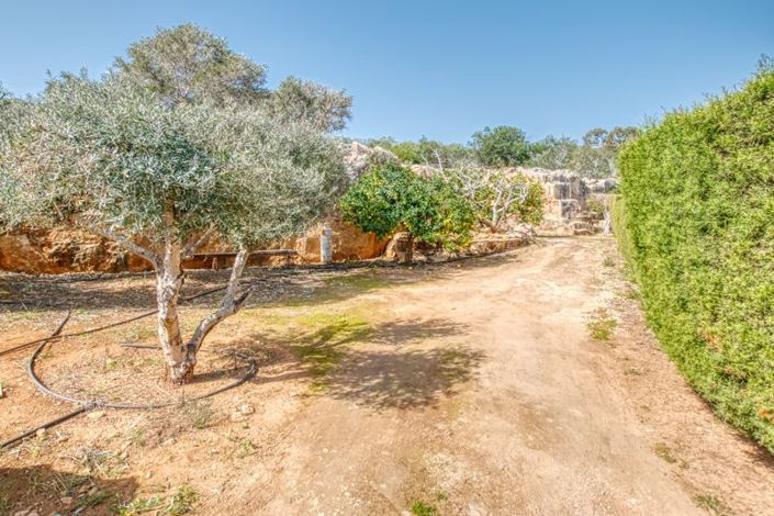 Image No.39-6 Bed Villa for sale