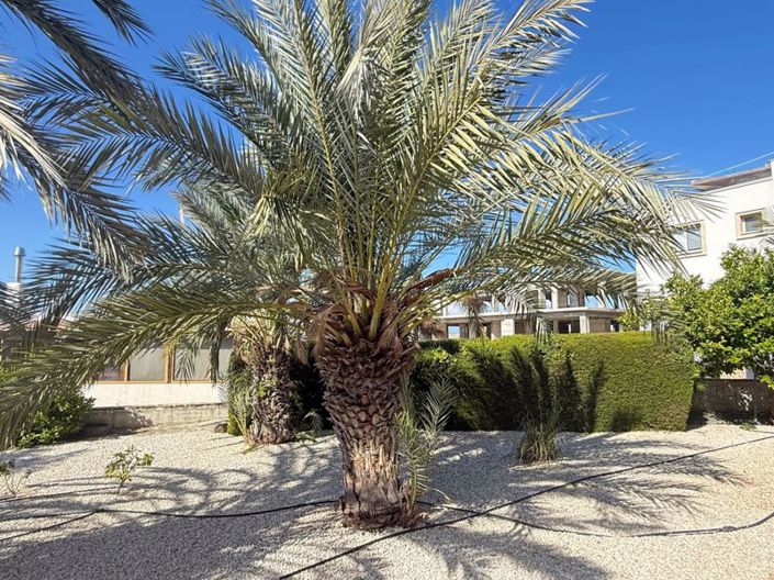 Image No.16-3 Bed Apartment for sale