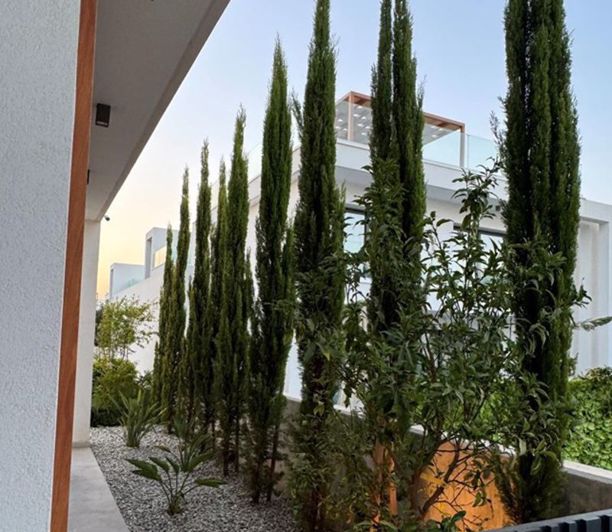 Image No.19-3 Bed Villa for sale