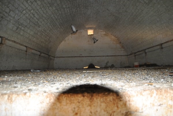 Image No.25-4 Bed Country House for sale