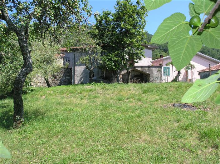 Image No.5-3 Bed House for sale