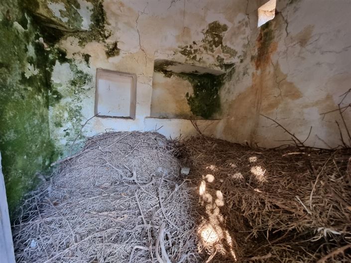 Image No.5-2 Bed Country House for sale