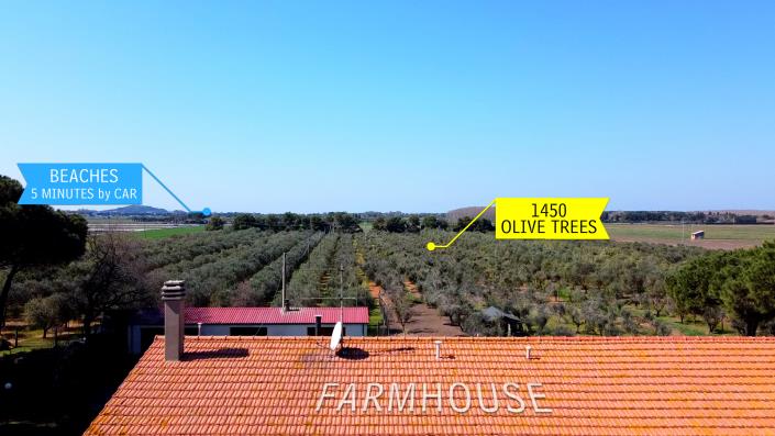 Image No.3-8 Bed Farmhouse for sale