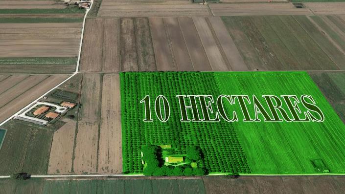 Image No.35-8 Bed Farmhouse for sale