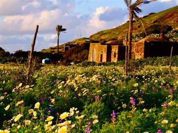 1 - Pantelleria, House