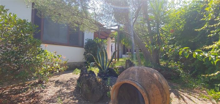 Image No.14-3 Bed House for sale