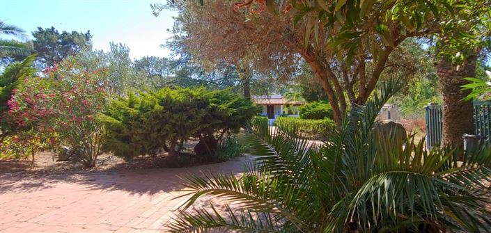 Image No.19-3 Bed House for sale