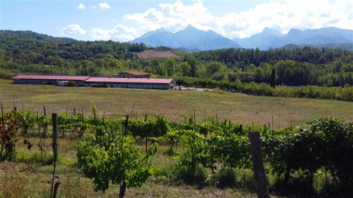 Image No.1-15 Bed Country House for sale