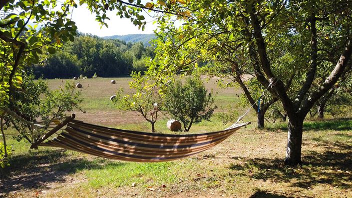 Image No.12-15 Bed Country House for sale