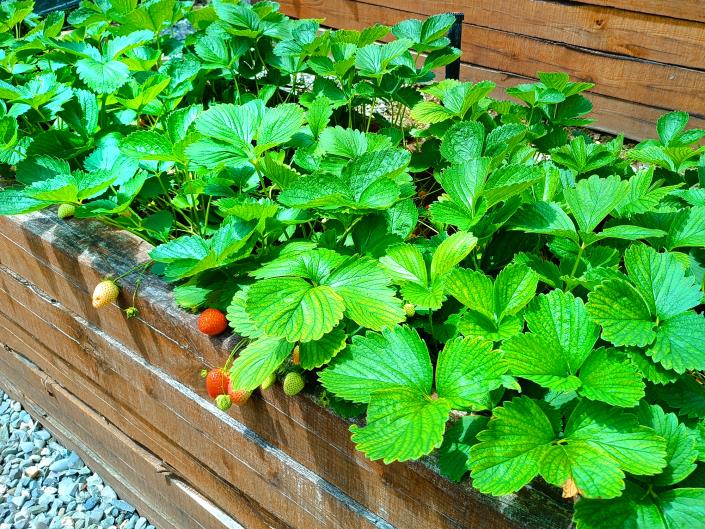 Image No.12-3 Bed House/Villa for sale